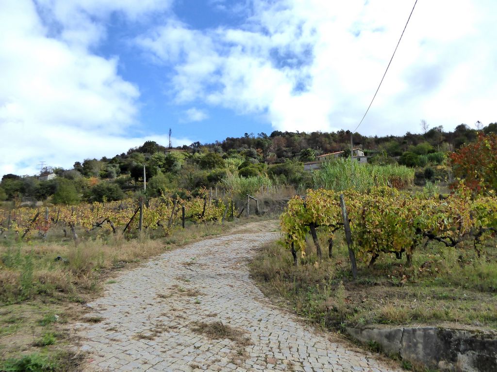 Farm